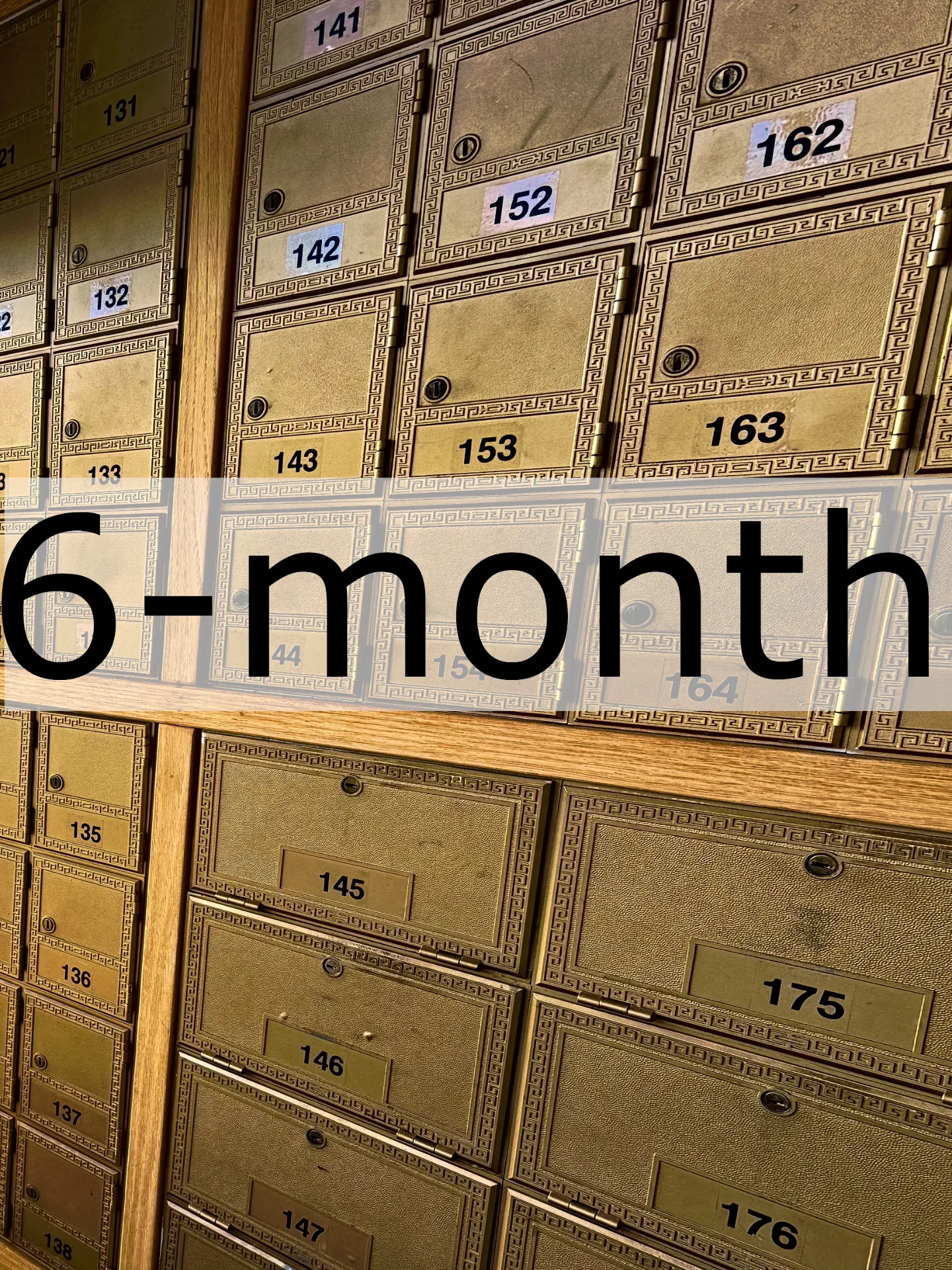 6-month Mailbox Rental (no auto-renewal)